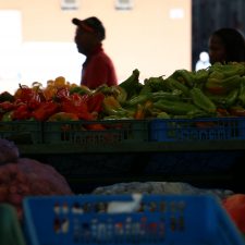 La importancia de la cooperación ante las desigualdades
