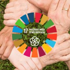 Alianças: decisivas para conseguir um  desenvolvimento sustentável