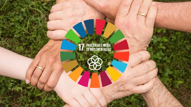 Alianças: decisivas para conseguir um  desenvolvimento sustentável