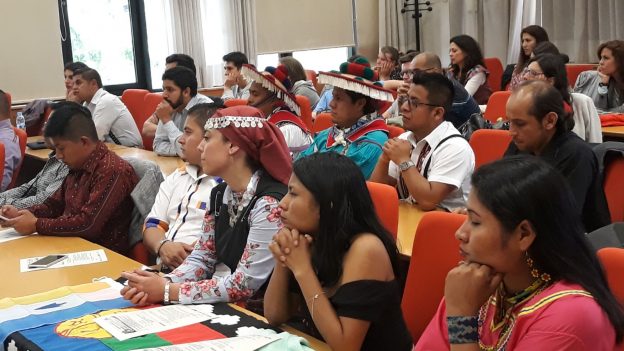 Como garantir a diversidade étnica respeitando os direitos humanos