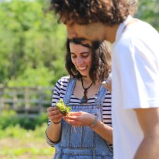 A liderança da Ibero-América na luta contra as mudanças climáticas