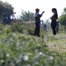 Agenda 2030: integrar a dimensão ambiental ao desenvolvimento dos países