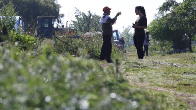 Agenda 2030: integrar la dimensión ambiental al desarrollo de los países