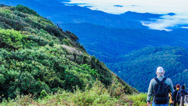 Agenda Medioambiental Iberoamericana: para una recuperación en sintonía con la naturaleza