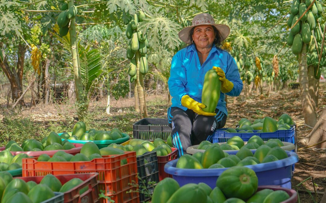 Una apuesta por la cooperación y las alianzas para el desarrollo sostenible  - Somos Iberoamérica / Somos Ibero-América