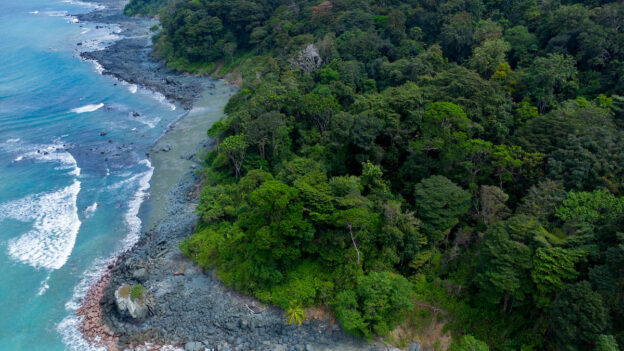 Área protegida del Corredor Marino del Pacífico Este Tropical.