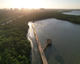 Barranquilla en transformación con infraestructura verde y azul
