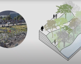 ”Agua viva”, 2º premio del Concurso Vida Urbana