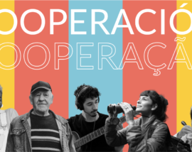 Programas de Cooperação Ibero-Americana