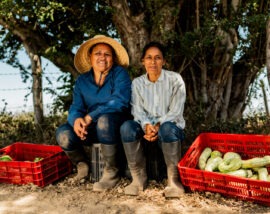 Do colapso à oportunidade: história de uma transição tripla