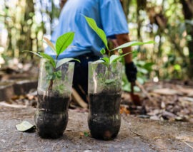 Una agenda ambiental para Iberoamérica