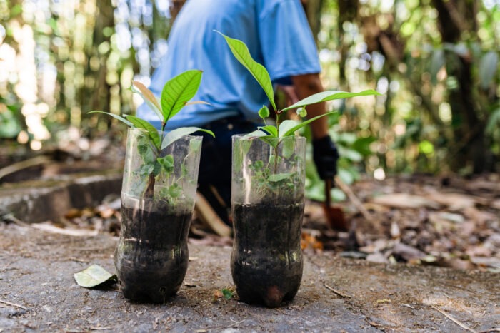Una agenda ambiental para Iberoamérica