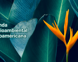 Qué es y qué supone la Agenda Ambiental Iberoamericana